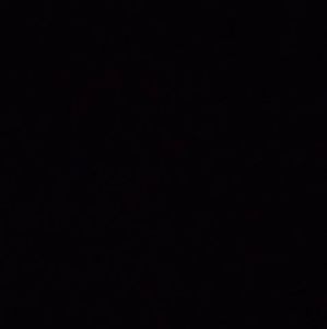 Meet your Posher, Junior